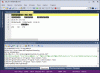 BDEBUGGER.with CP866 chars.error.window.gif